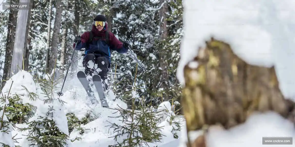 行业领先的理由